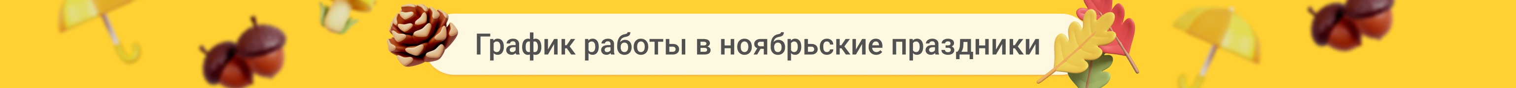 график ноябрь