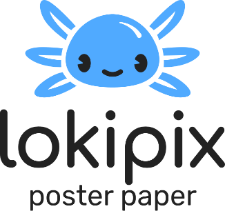 Lokipix