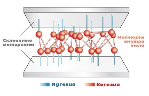 когезия адгезия_белый.jpg