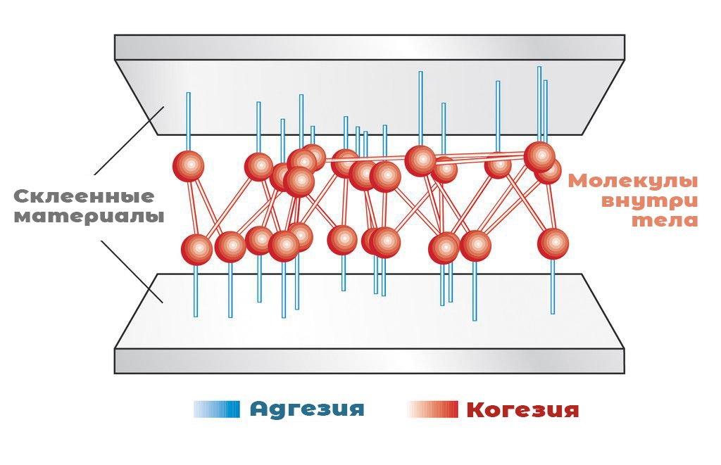 Адгезия что это такое